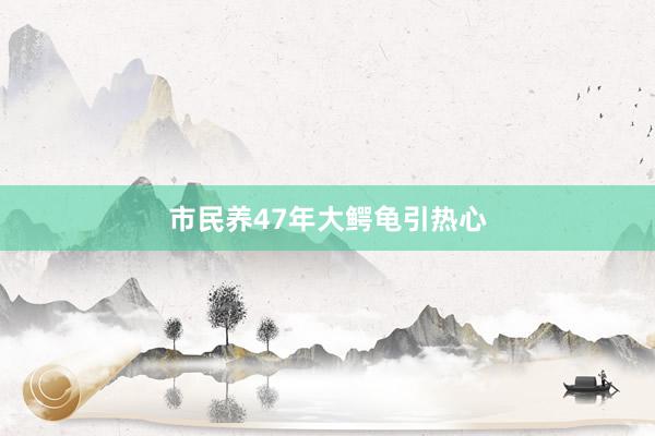 市民养47年大鳄龟引热心