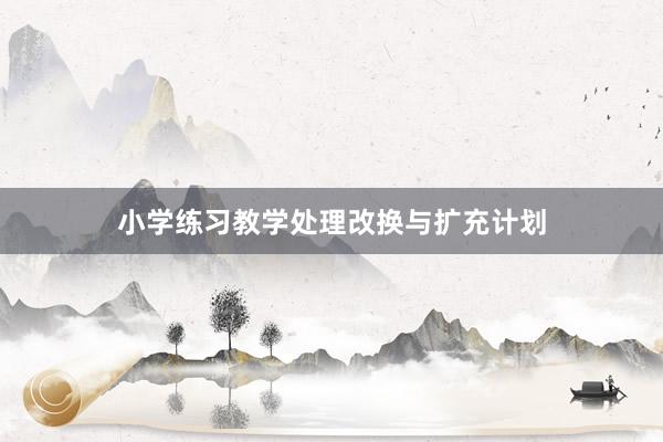 小学练习教学处理改换与扩充计划